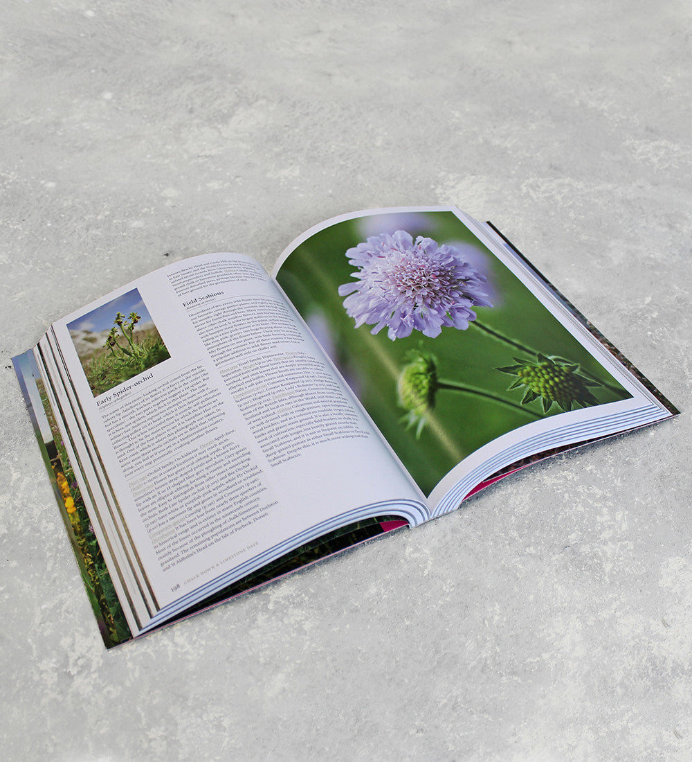Sarah Raven's Wild Flowers