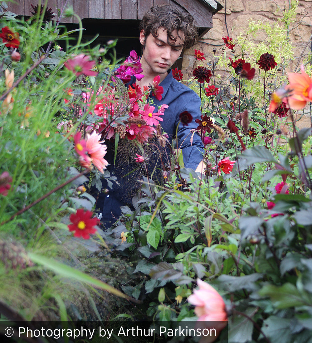 Arthur Parkinson's The Flower Yard