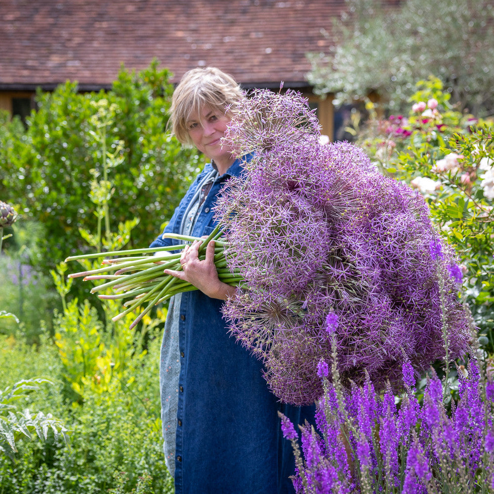 Allium cristophii