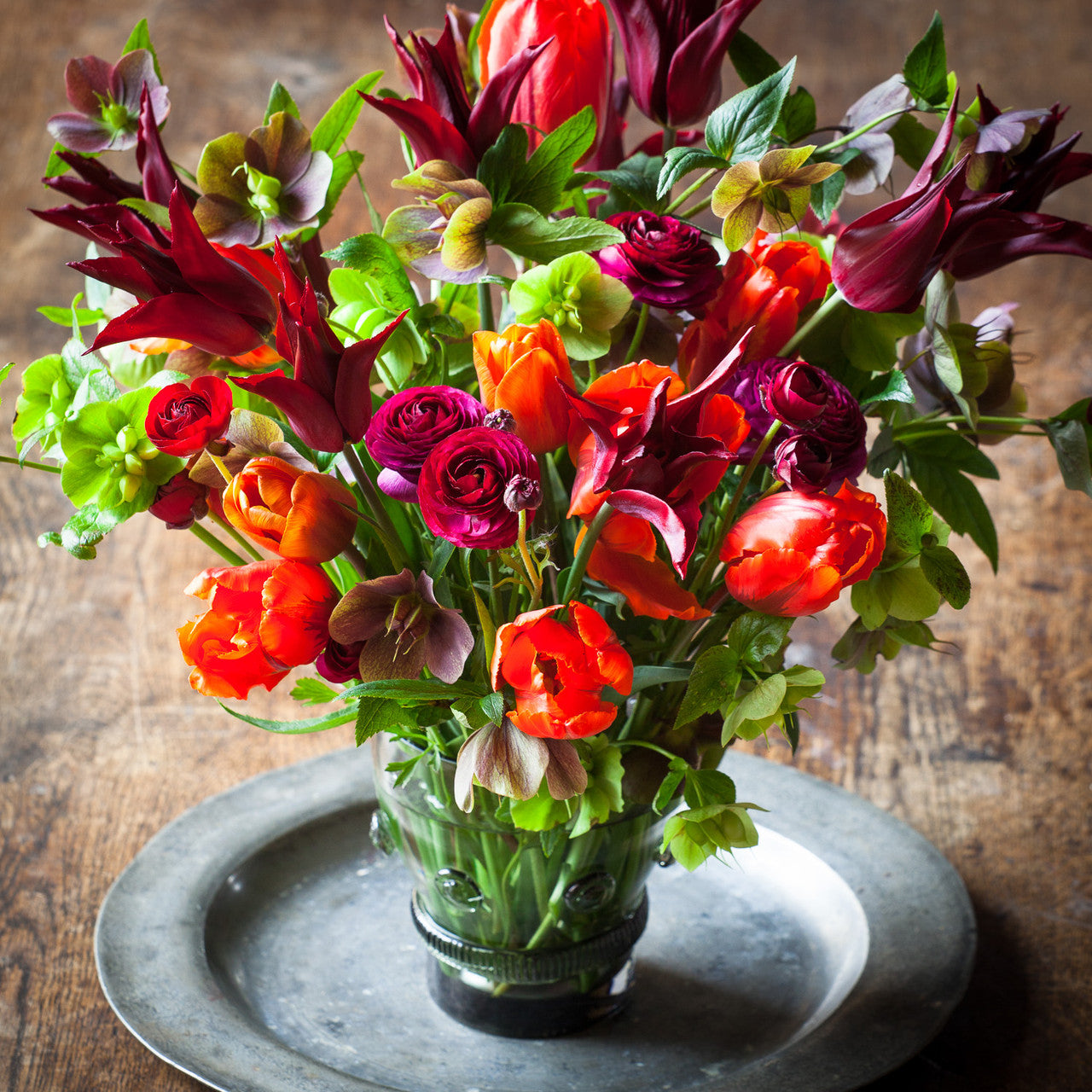 Tulip 'Request'