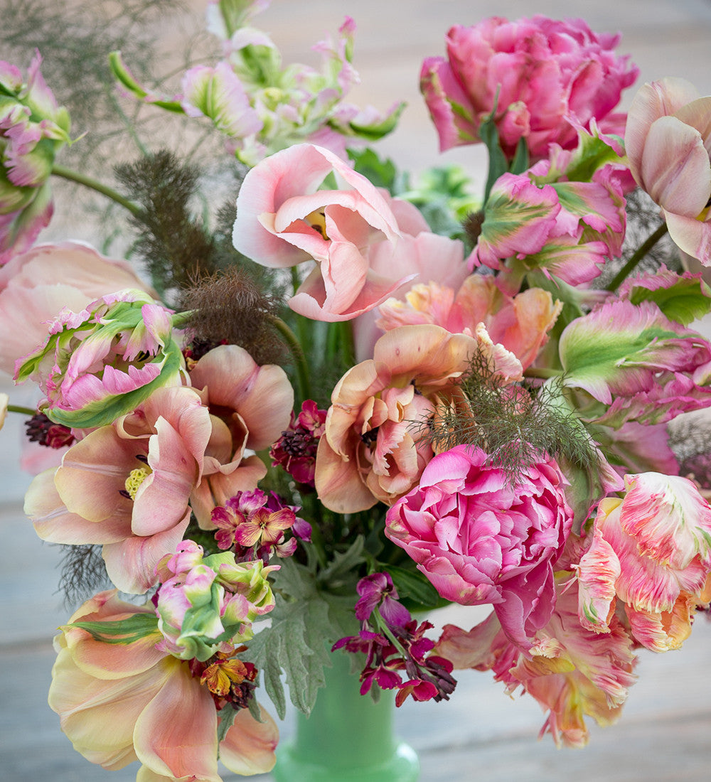 Renoir Tulip Collection