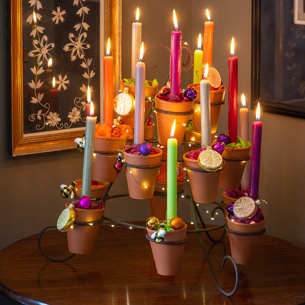 Tabletop Plant Theatre