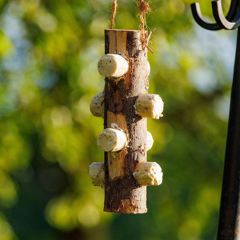 Wooden Log Bird Feeder