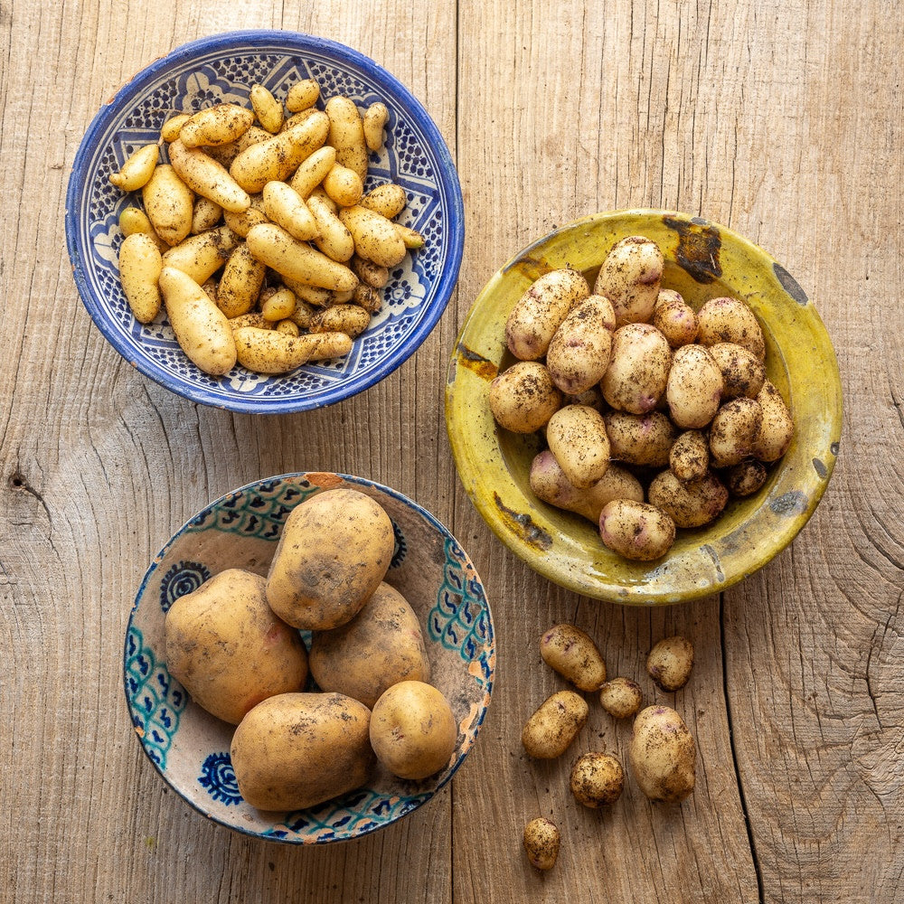 Sarah's Favourite Container Potato Collection