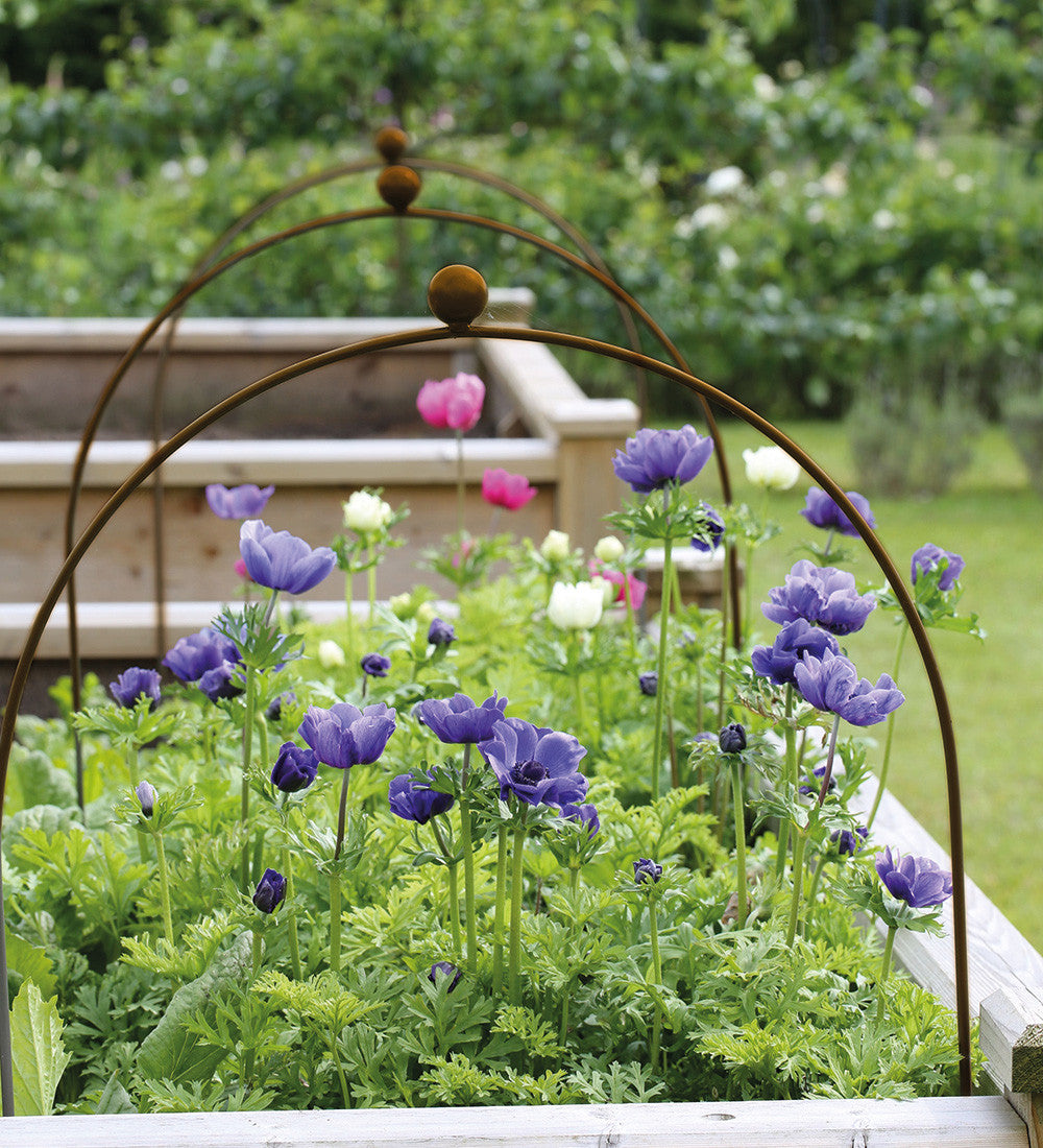 Hooped Cloche