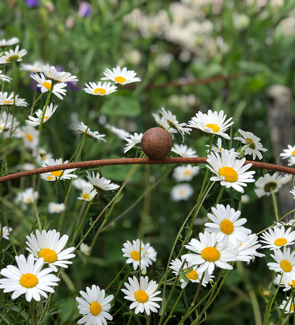 Hooped Cloche