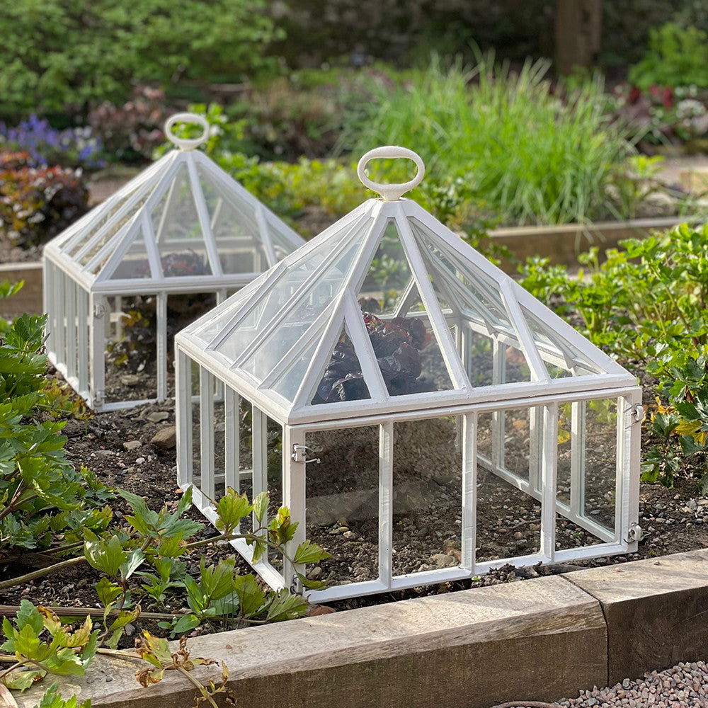 Claverton Square Cloche