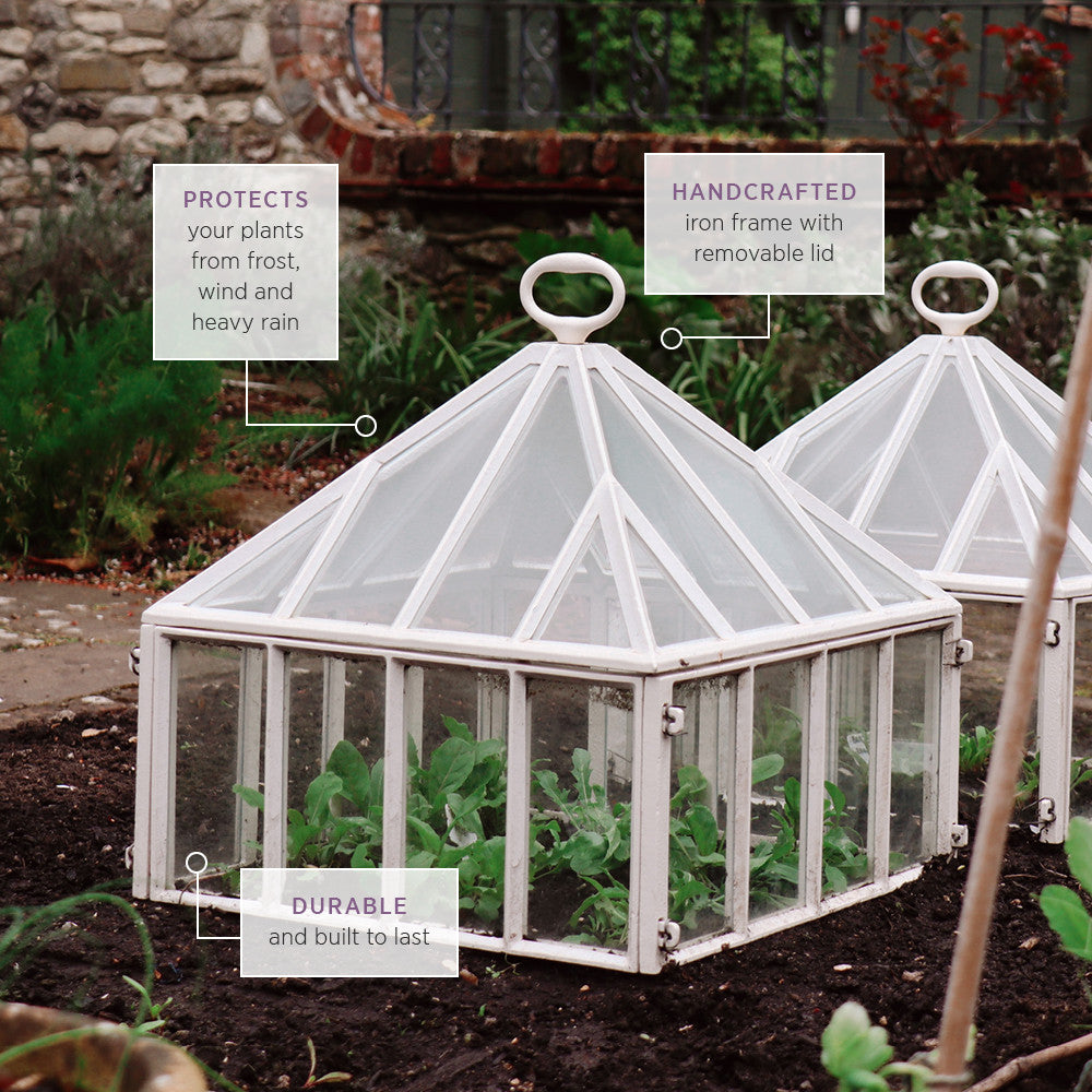 Claverton Square Cloche