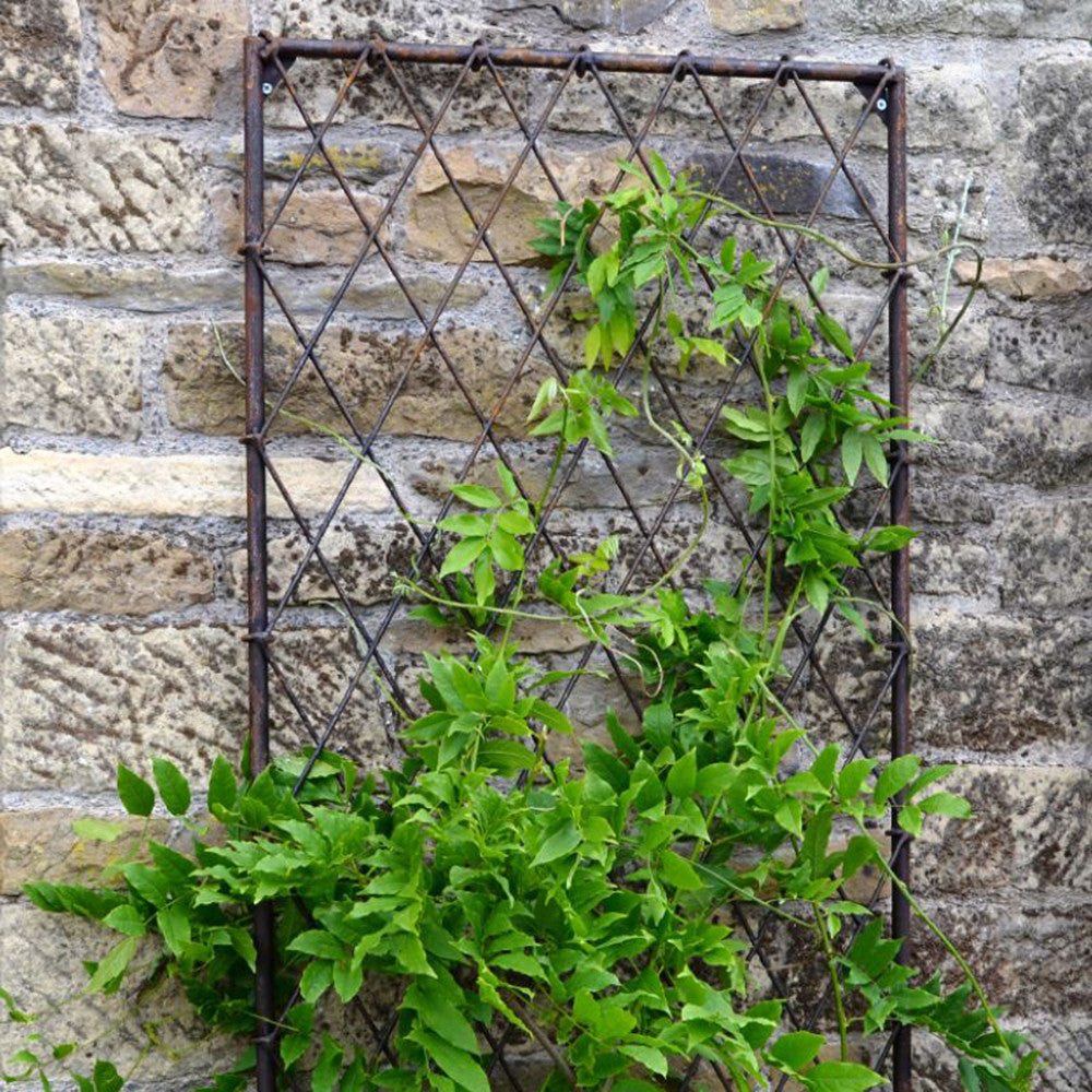 Wall Trellis