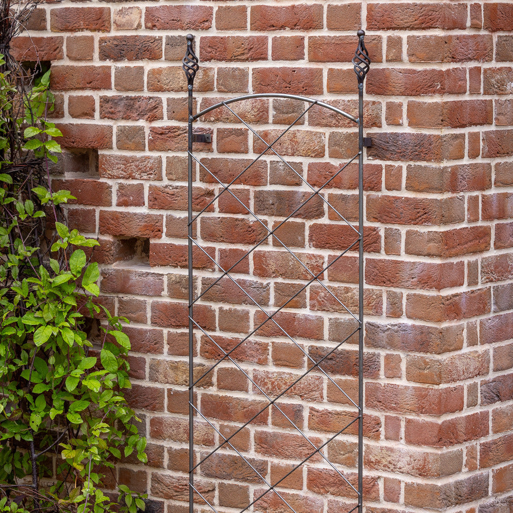 Decorative Wall Trellis