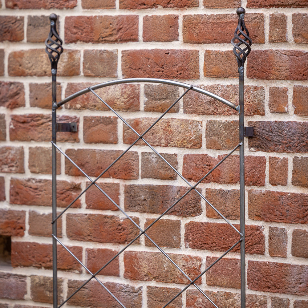 Decorative Wall Trellis