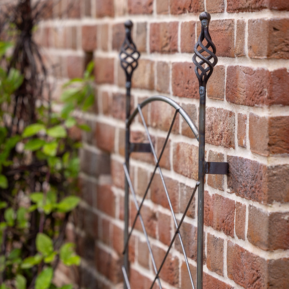 Decorative Wall Trellis