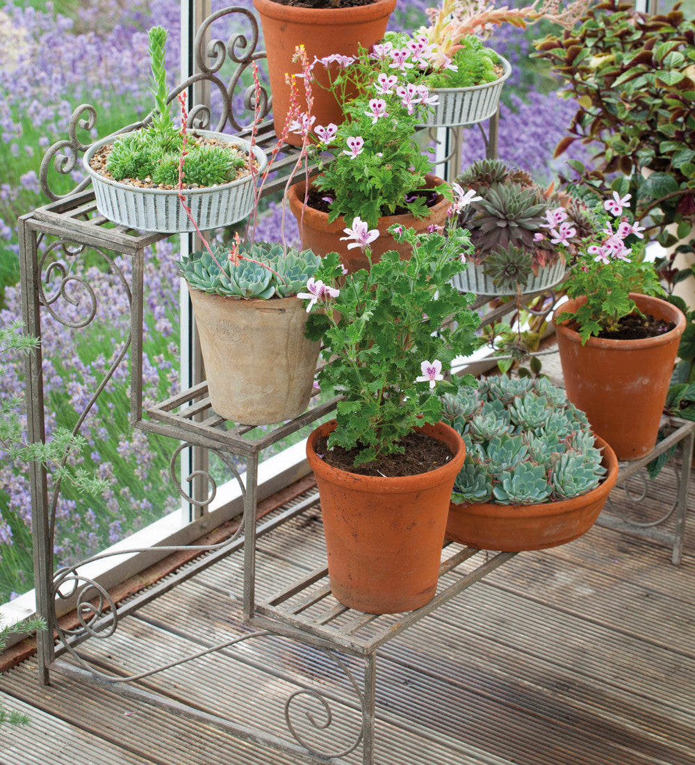 Plant Theatre