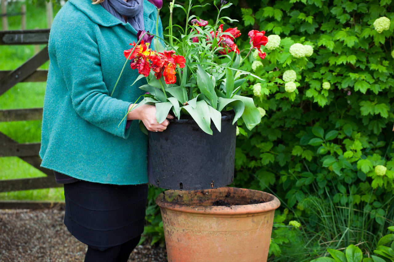 Pots for Successional Planting