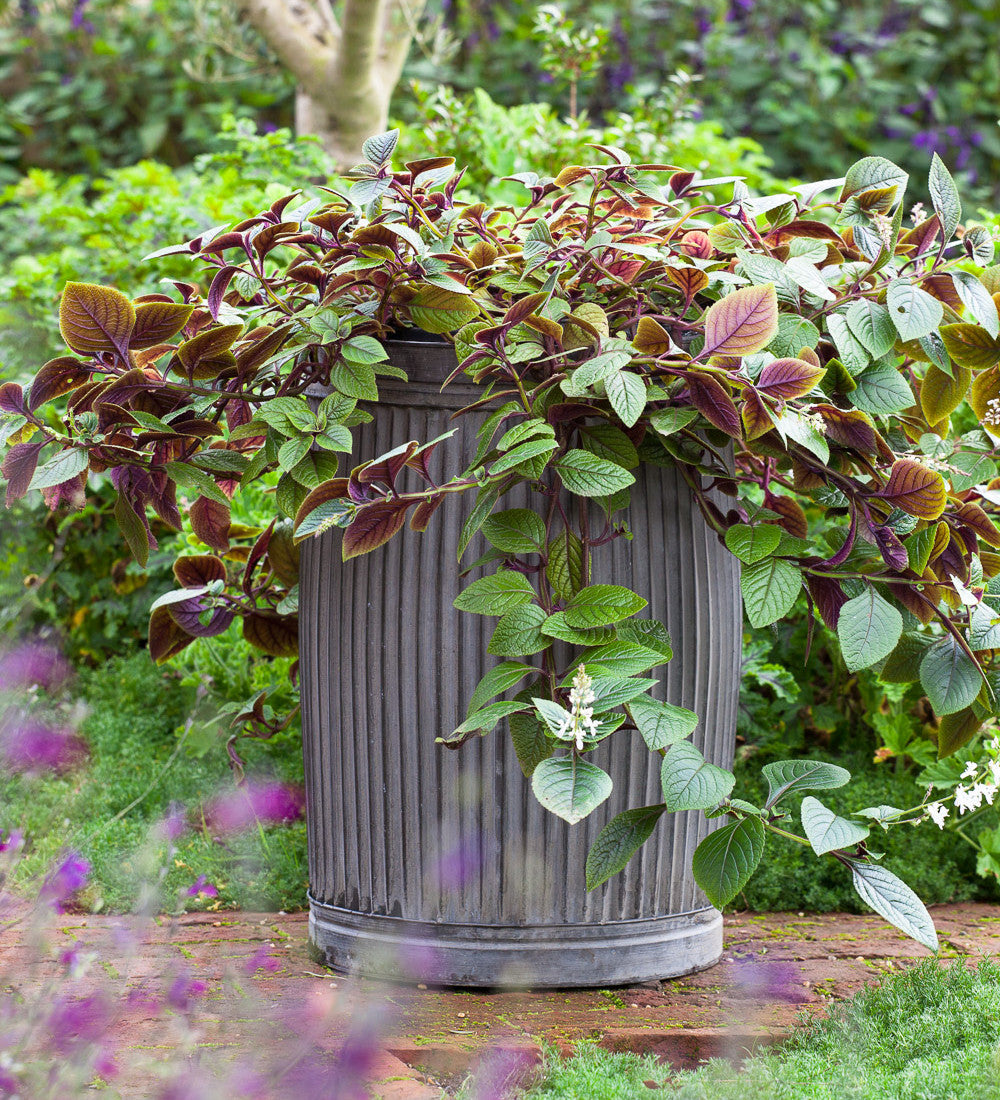 Ribbed Planters