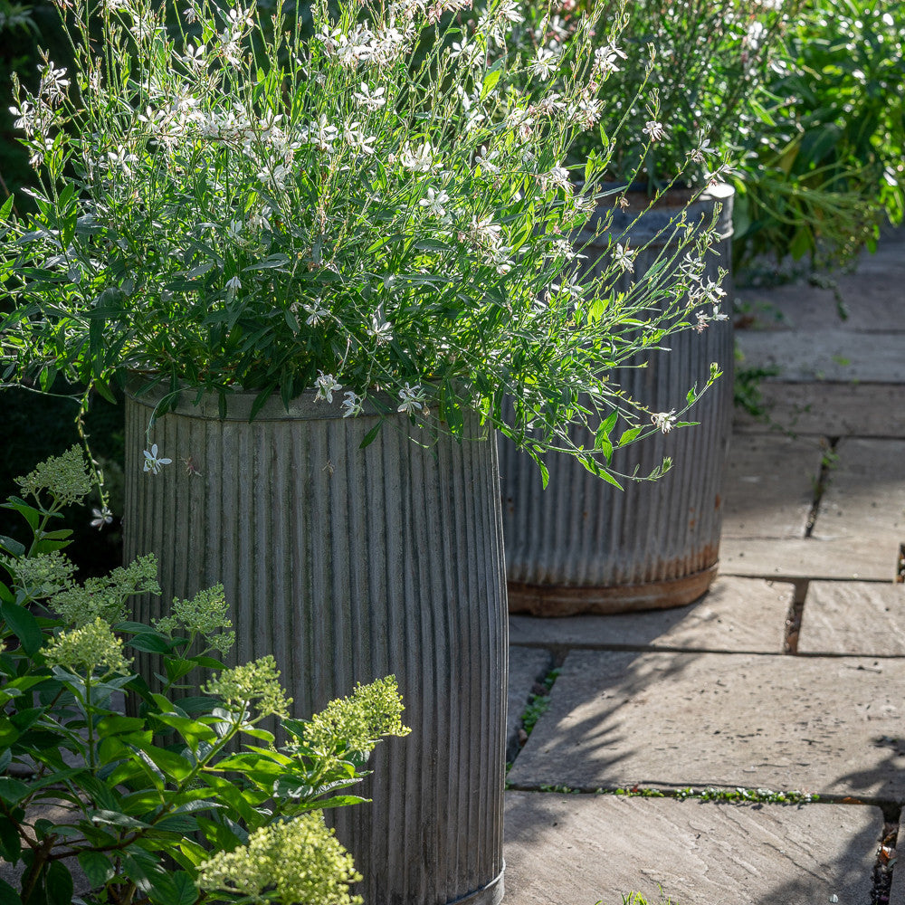Ribbed Planters