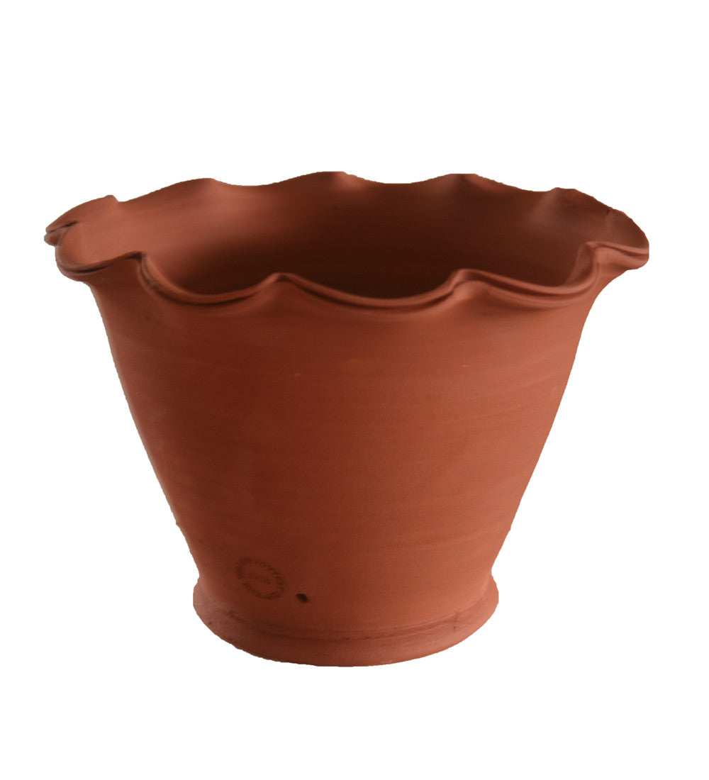 Terracotta Scalloped Pots