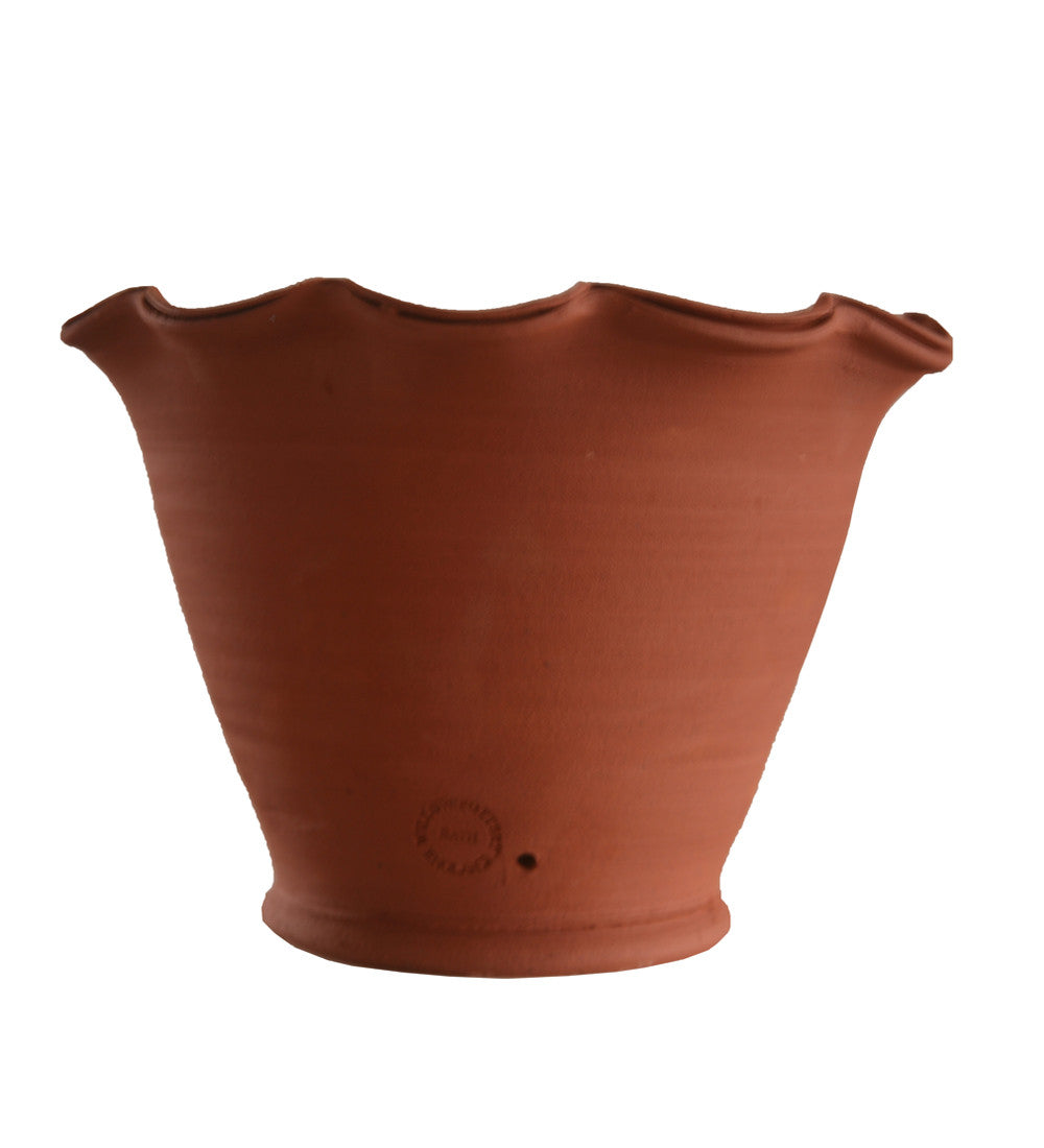 Terracotta Scalloped Pots