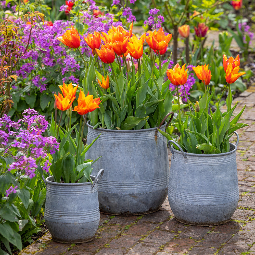 Zinc Barrel Planters