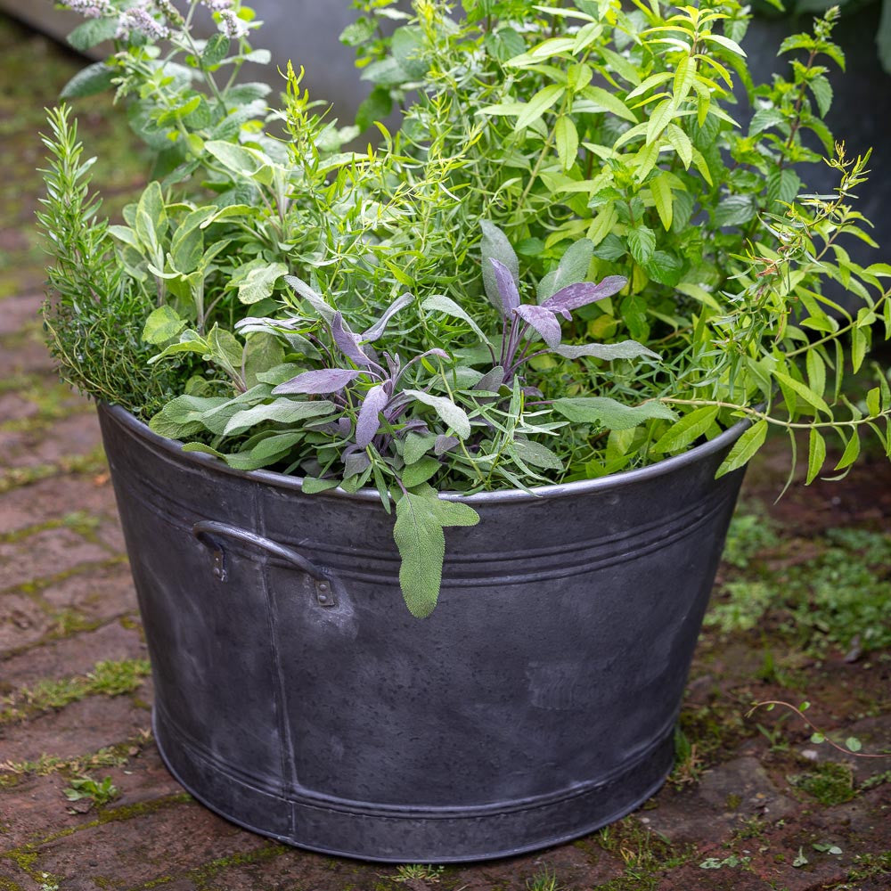 Essential Zinc Planter