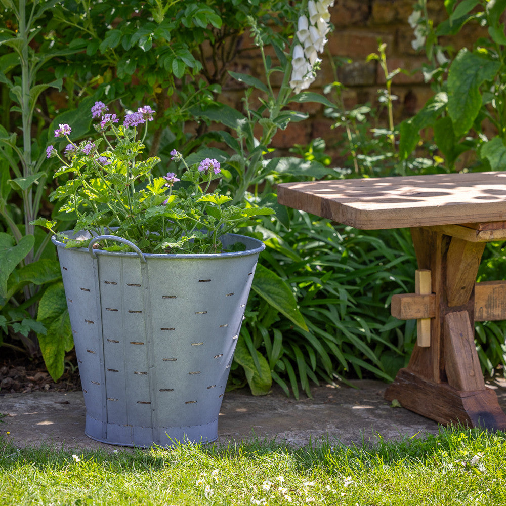 Olive Picking Bucket