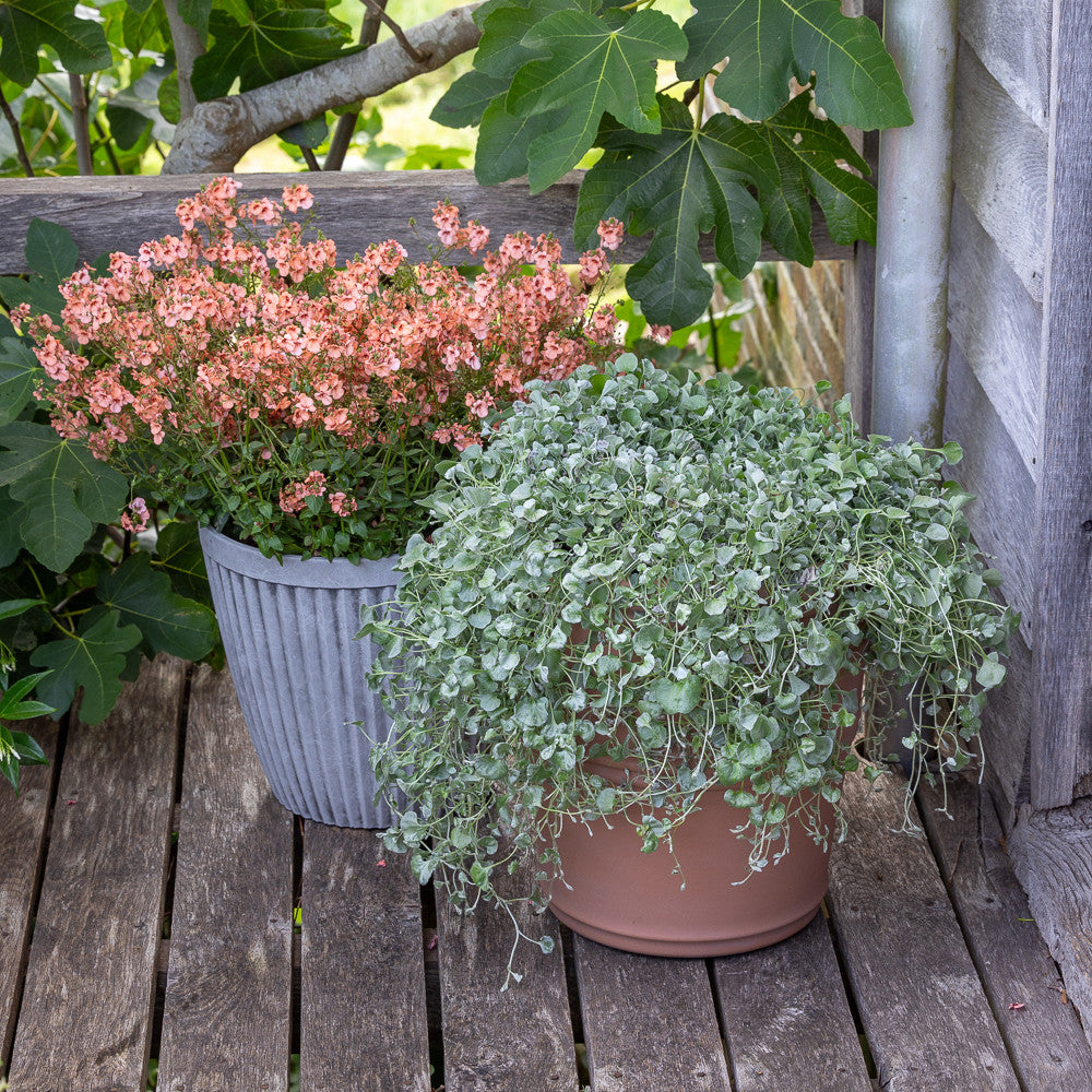 Recycled Plastic Grey Ribbed Pots