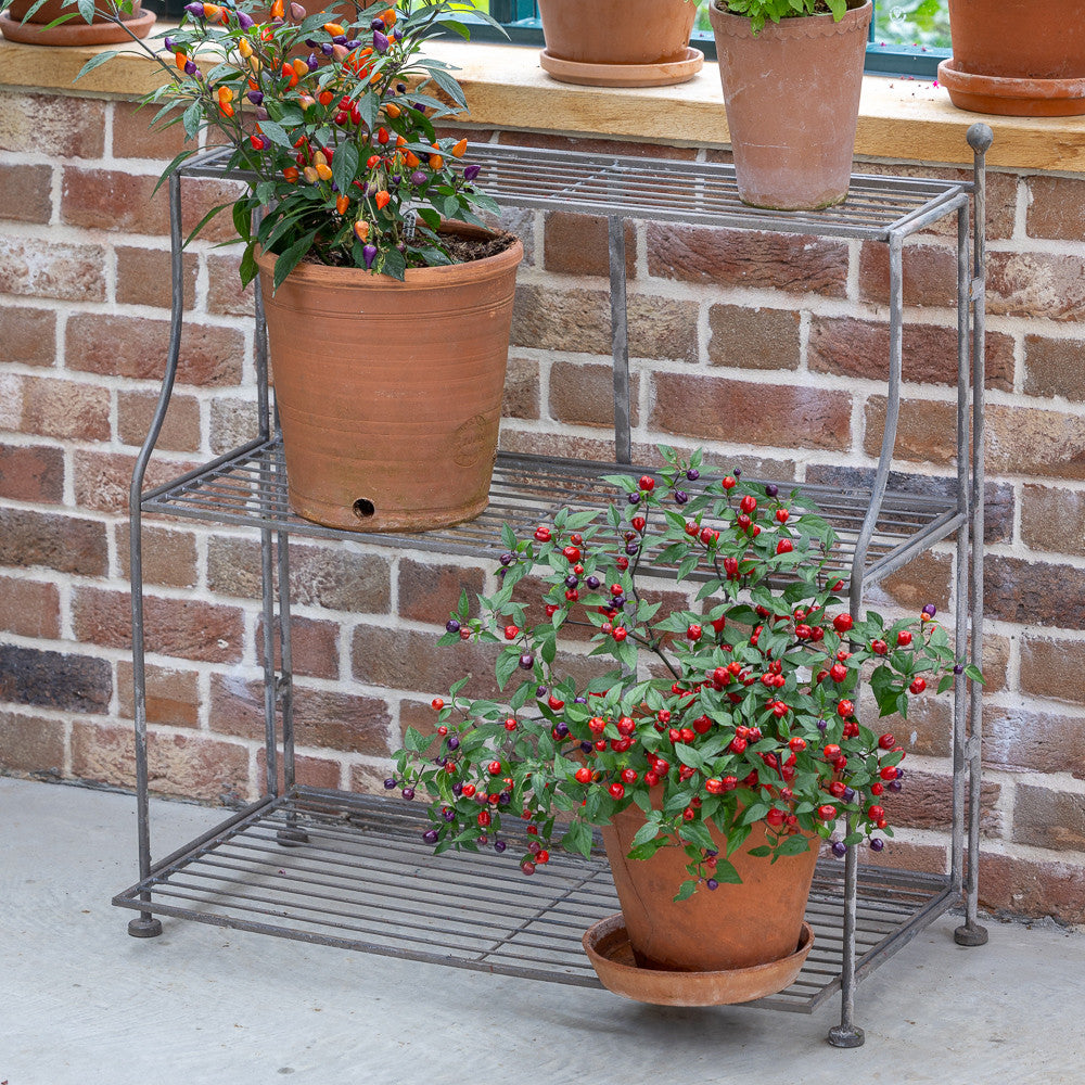Collapsible Elegant Plant Theatre