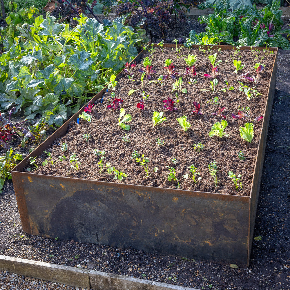 Solid Steel Raised Beds