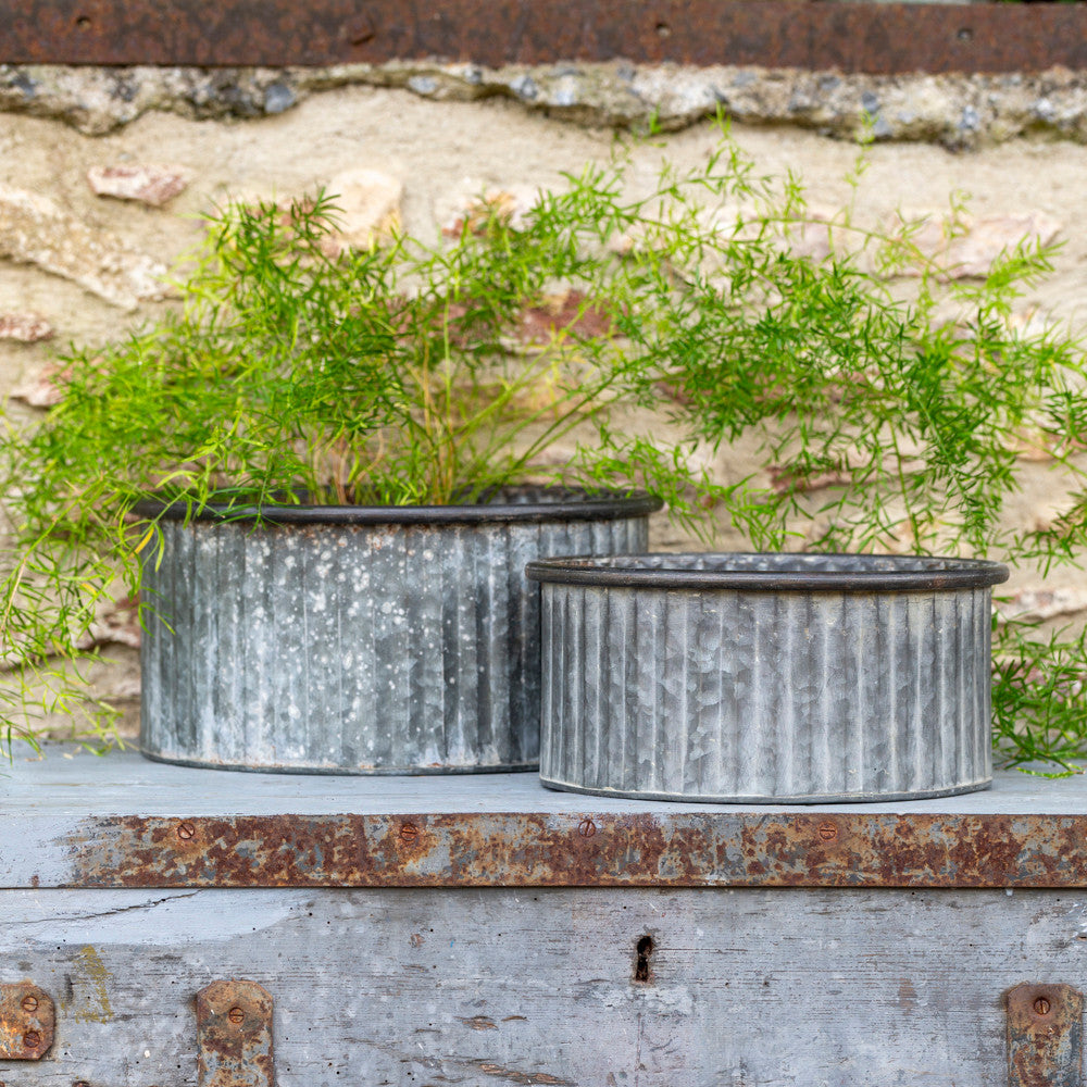 Ribbed Zinc Drum Planters