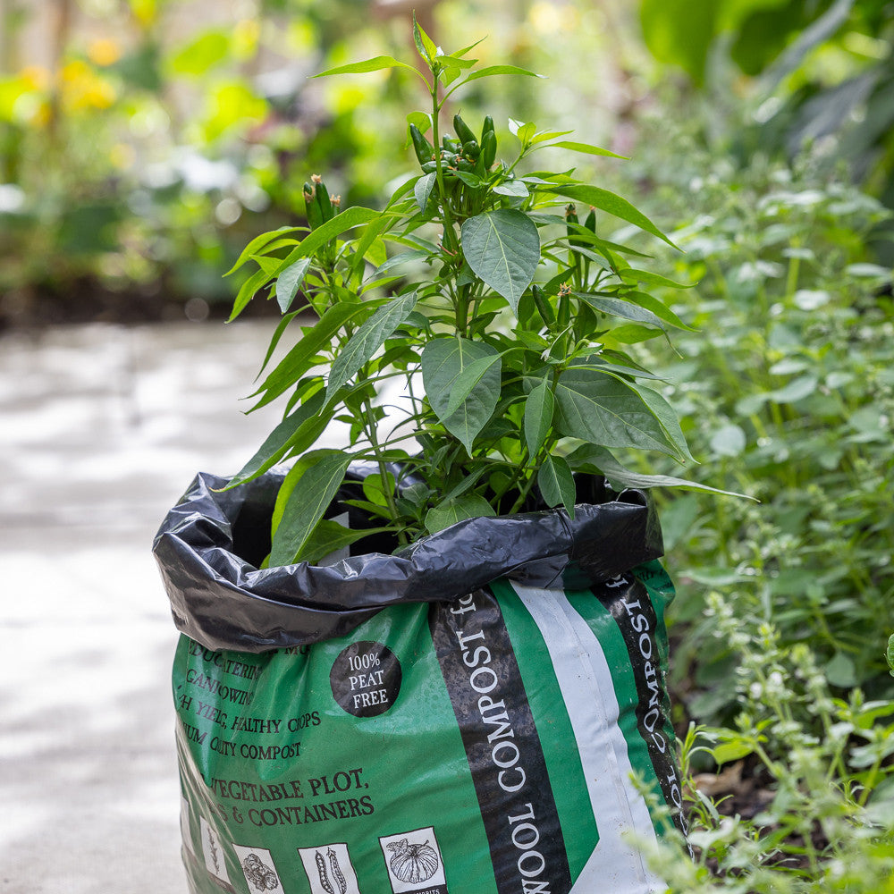 Peat Free Wool Compost for Vegetables & Salad