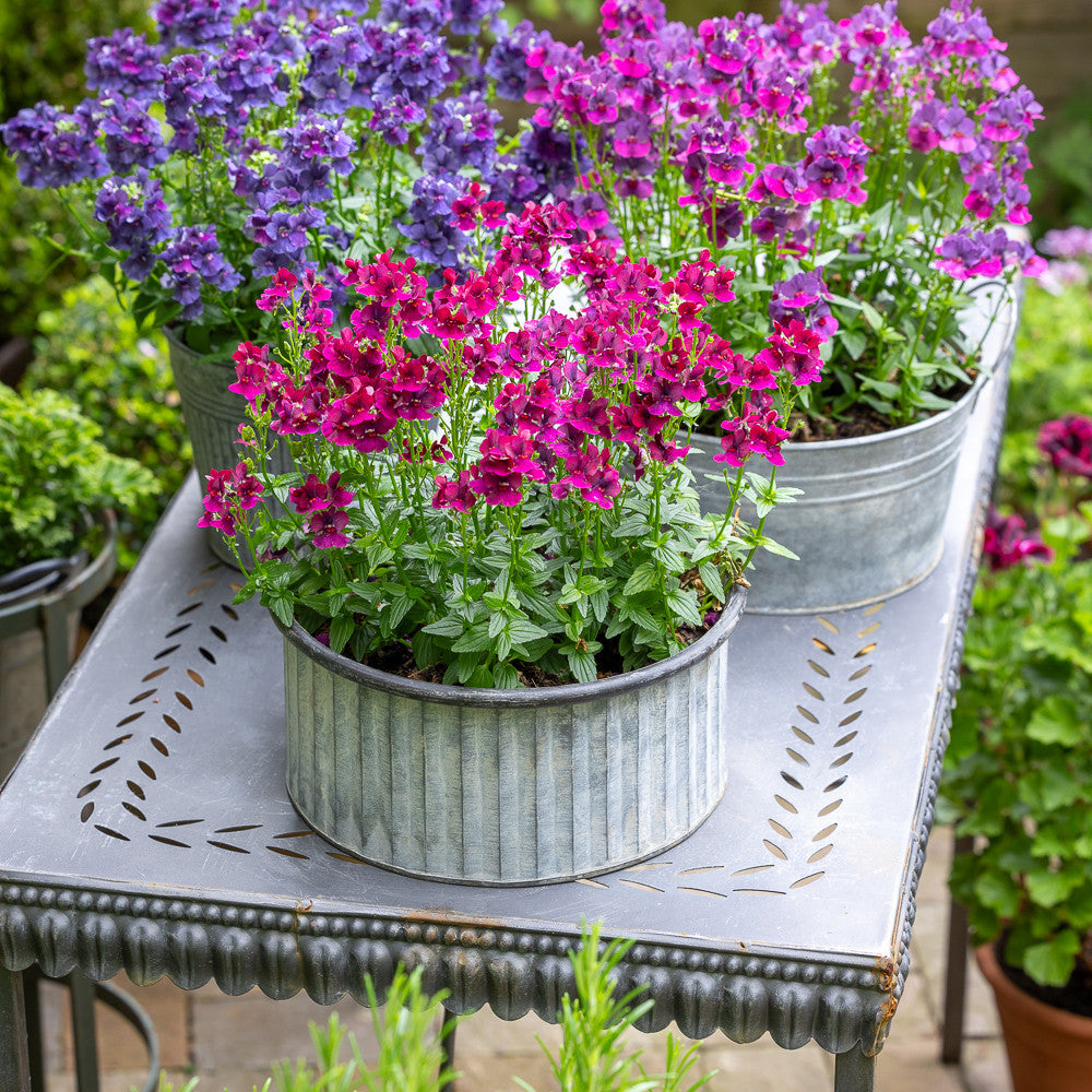 Scalloped Metal Table