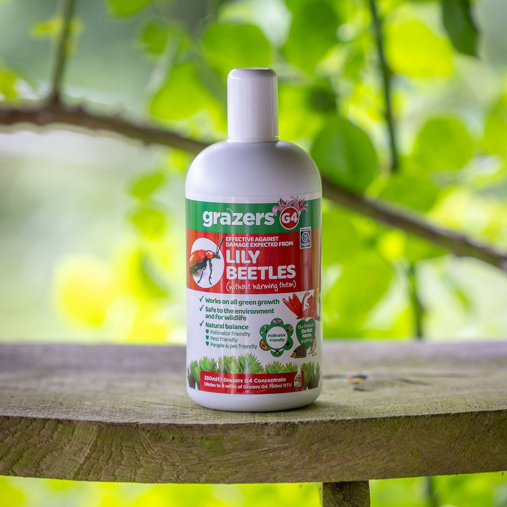 Grazers Lily Beetle Repellent