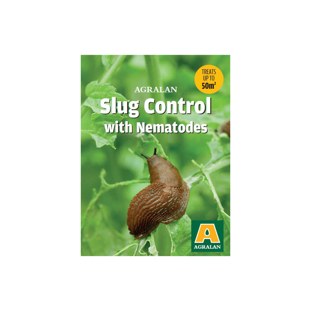 Slug Nematodes