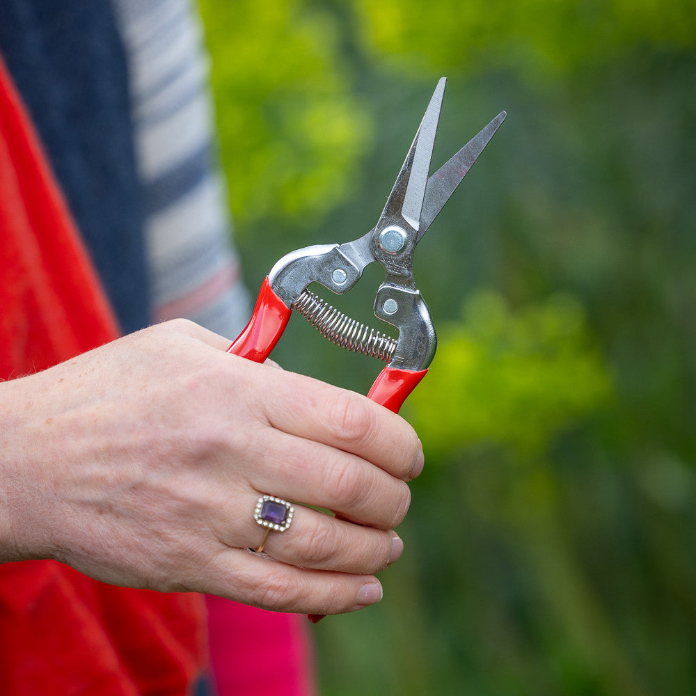Flower Snips