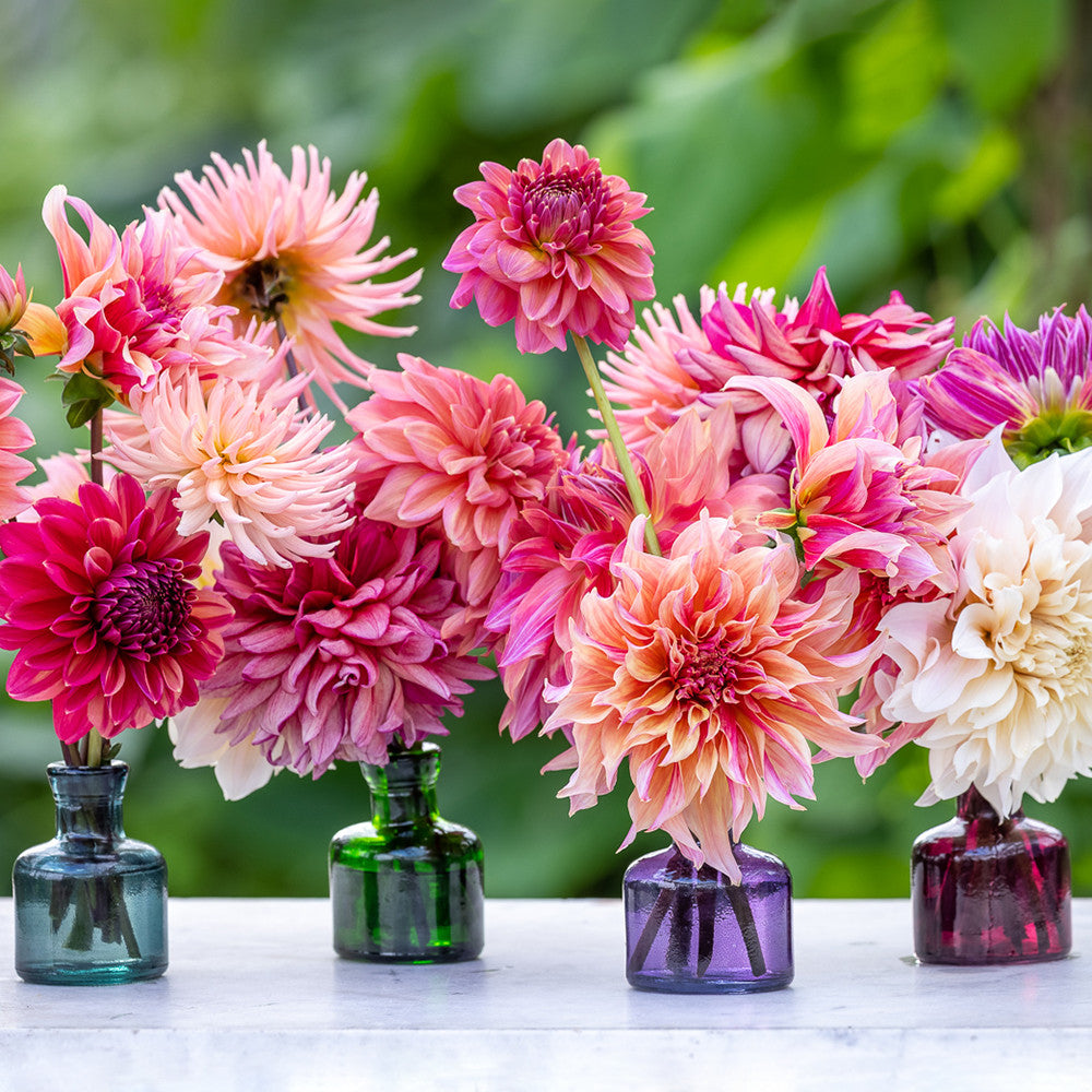 Ink Bottle Vases