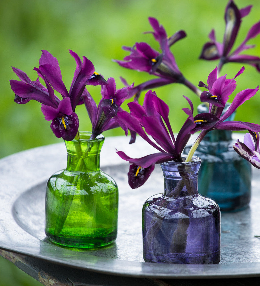 Ink Bottle Vases