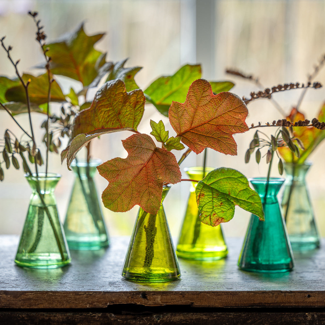 Asolo Vases