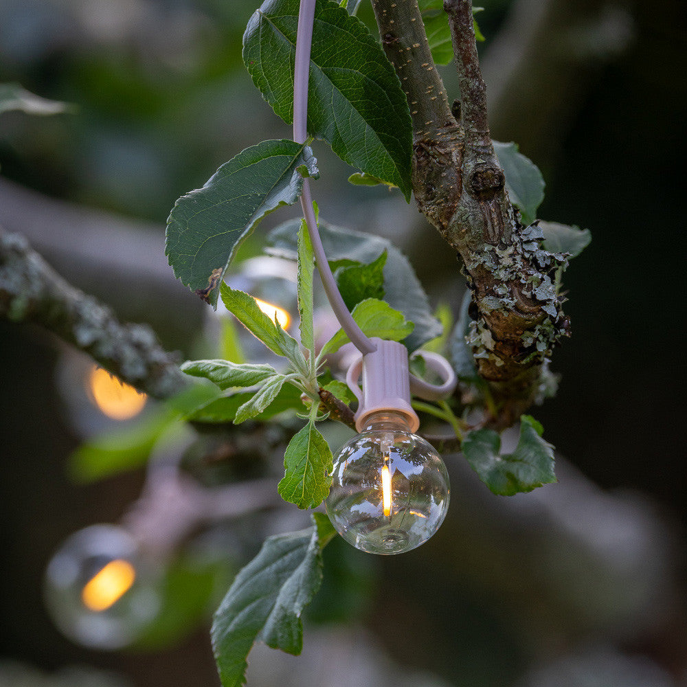 Pink Wired Festoon Lights