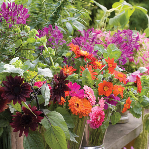 Grow Your Own Cut Flowers with Sarah Raven at Perch Hill Farm, East Sussex