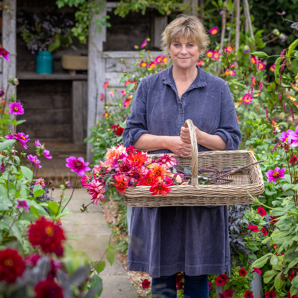Perch Hill Dahlia Day - 30 years of growing and breeding dahlias