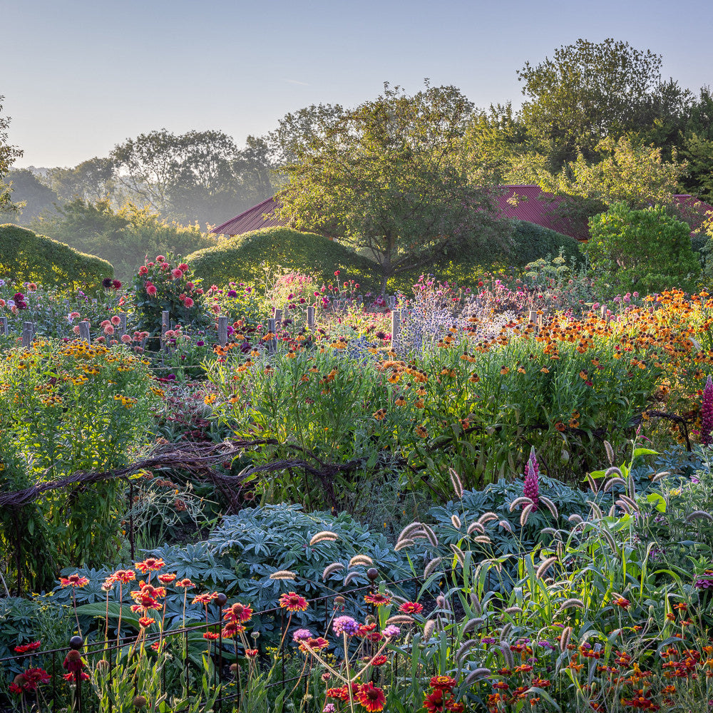 August and September Open Days