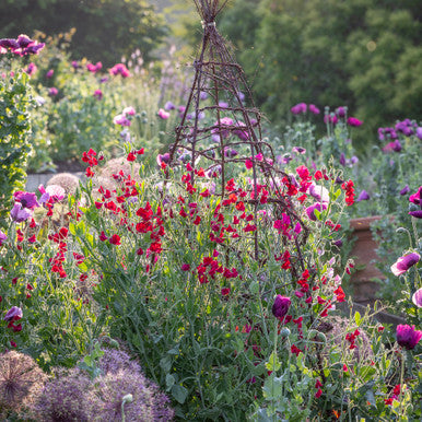 June and July Open Days