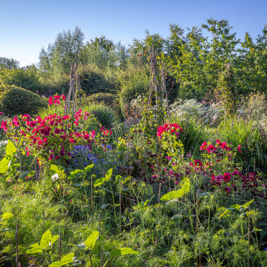 June and July Open Days