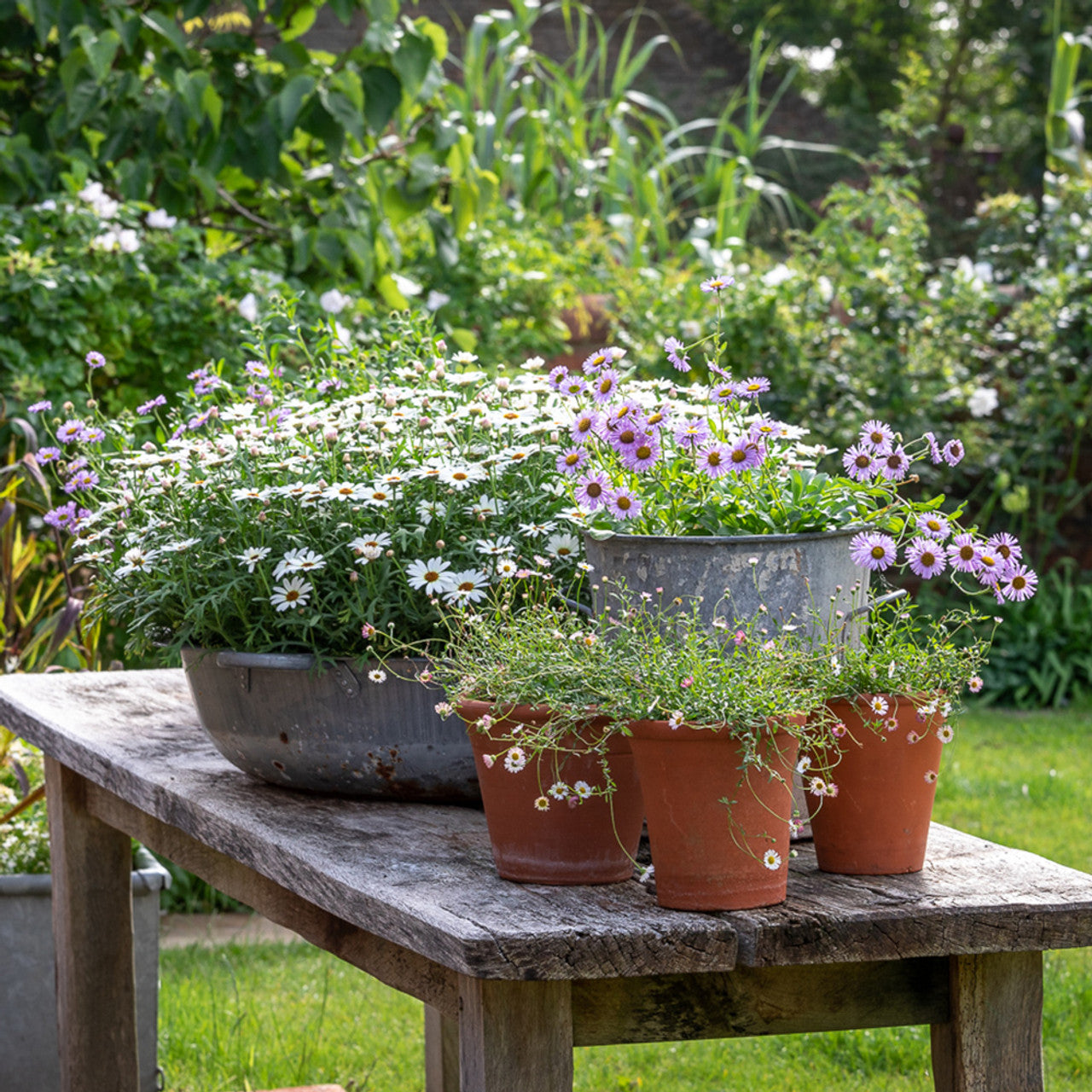 A Year Full of Pots with Sarah Raven at Perch Hill