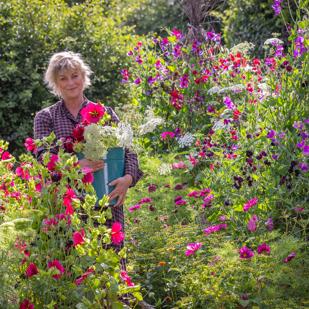 The Kaleidoscope Garden – Planting for Colour and Flowers Through Every Season with Sarah Raven at Perch Hill