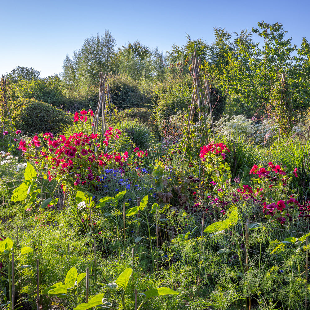 The Kaleidoscope Garden – Planting for Colour and Flowers Through Every Season with Sarah Raven at Perch Hill
