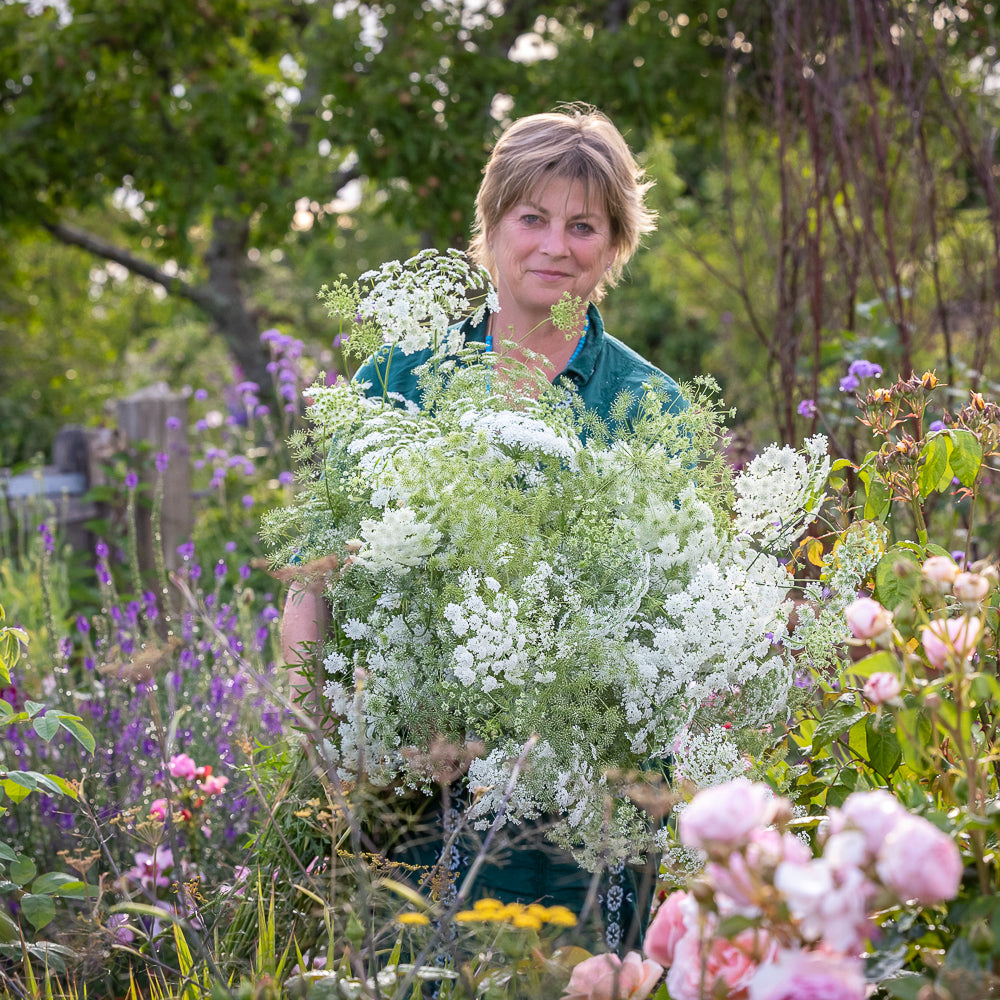 Grow and Arrange Your Own Cut Flowers with Sarah Raven at Rutland Nursery, Oakham