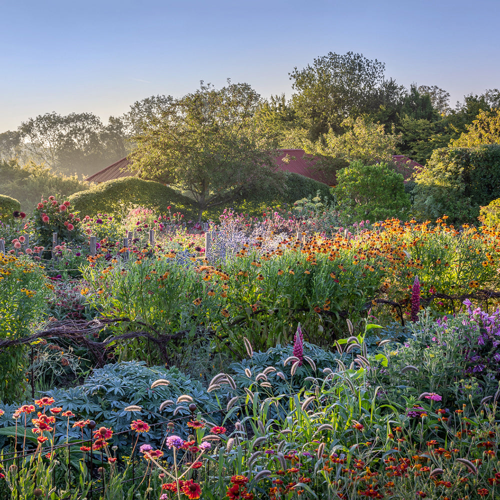 Grow and Arrange Your Own Cut Flowers with Sarah Raven at Rutland Nursery, Oakham