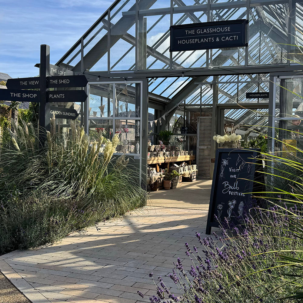The Kaleidoscope Garden – Planting for Colour and Flowers Through Every Season with Sarah Raven at Rutland Nursery, Oakham