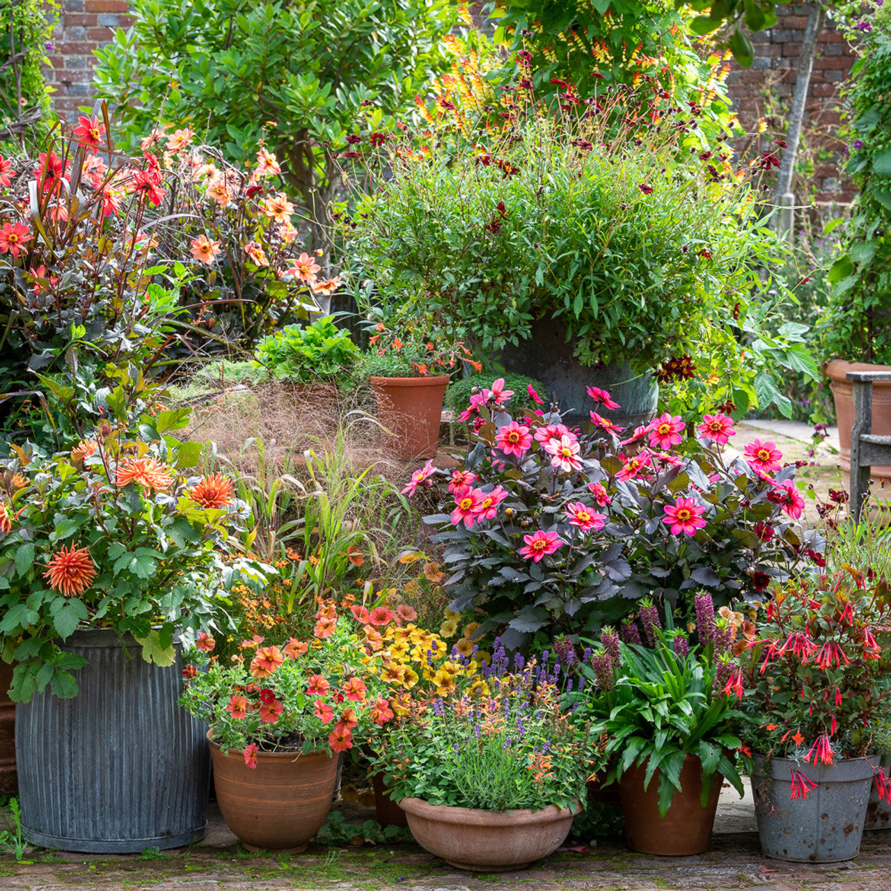 Spectacular Pots and Containers with Sarah Raven at Rutland Nursery, Oakham